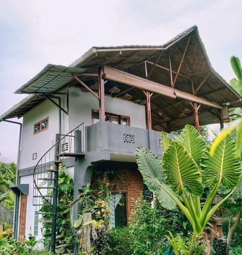 Hostal Sumatra Orangutan Discovery Villa