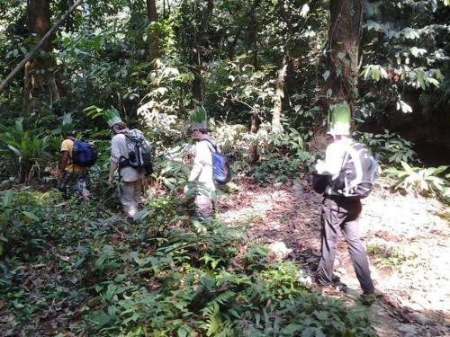 Jungle View Homestay Bukit Lawang