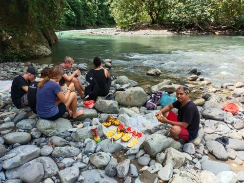 Jungle View Homestay Bukit Lawang