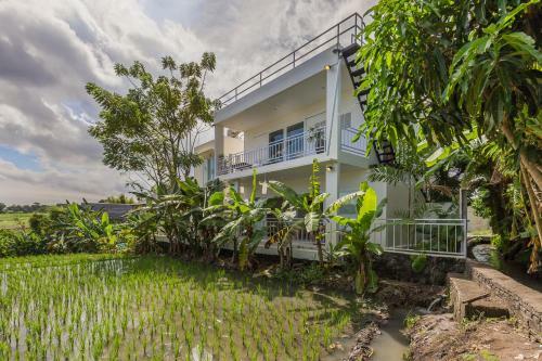 Apartamento Ricefield View Appartment #focus 3