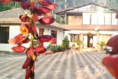 Coorg Estate Stay Campfire