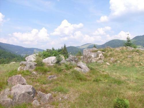 Holiday Home Les Chalets Des Ayes Le Thillot VII