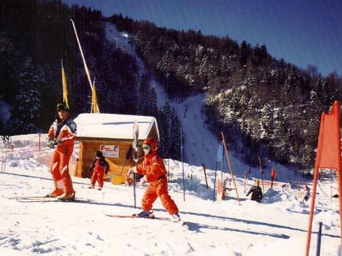 Holiday Home Les Chalets Des Ayes Le Thillot VII