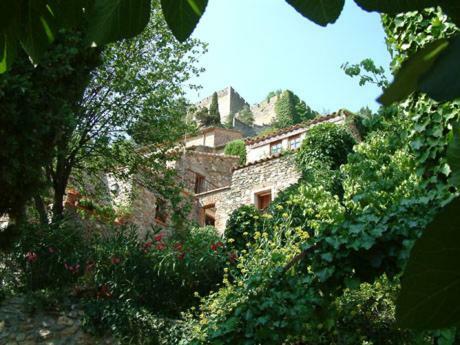 Bed & Breakfast La Figuera