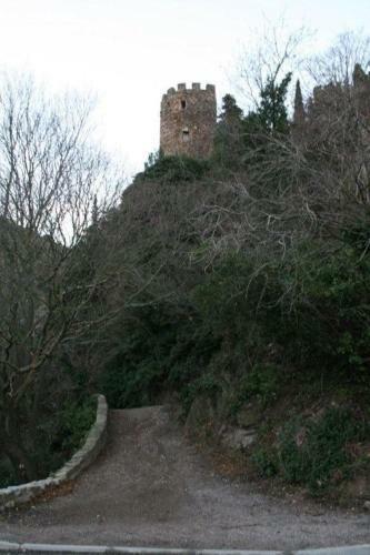 Bed & Breakfast La Figuera