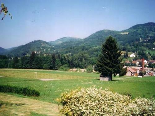 Holiday Home Les Chalets Des Ayes Le Thillot Viii
