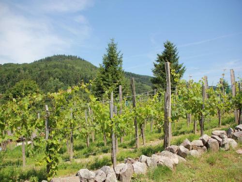 Holiday Home Les Chalets Des Ayes Le Thillot Viii