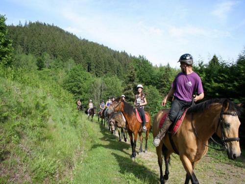 Holiday Home Les Chalets Des Ayes Le Thillot Viii