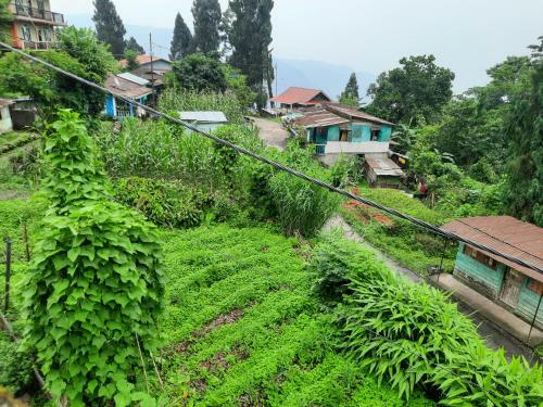 Newa Homestay