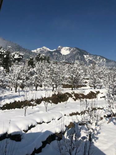 Pahadi Manzil Mountain Home