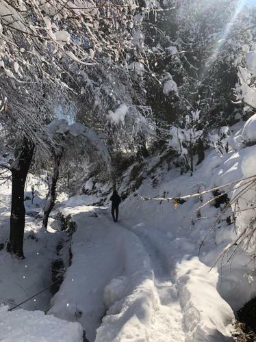 Pahadi Manzil Mountain Home