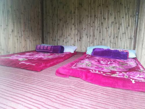 Staybook-manali Bluesky Camp