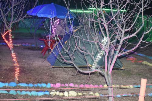 Staybook-manali Bluesky Camp