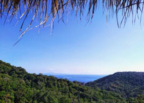 Hotel Tree House Koh Tao