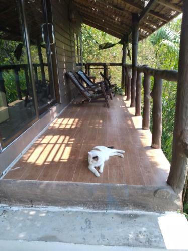 Hotel Tree House Koh Tao