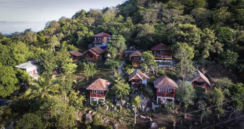 Hotel Tree House Koh Tao