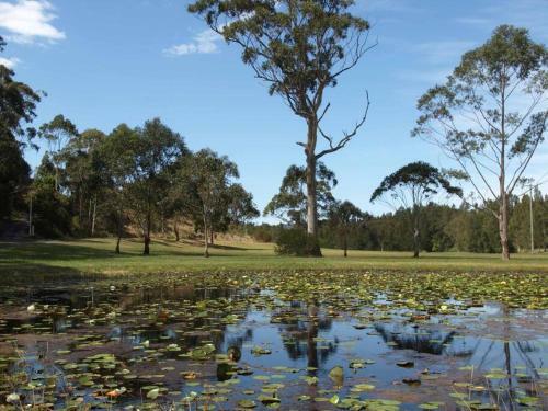 Huge Lake Front Property Near Blueys Beach