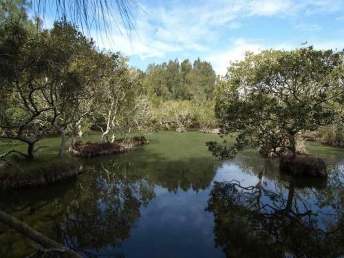 Huge Lake Front Property Near Blueys Beach