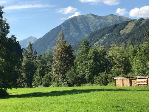 Posada Gasthof Zum Gamsj�ger