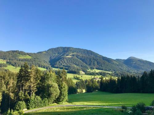 Apartment Heimatliebe