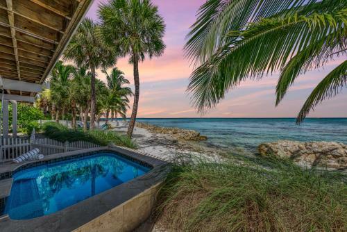 Dolphin Tales - 836 S Bay