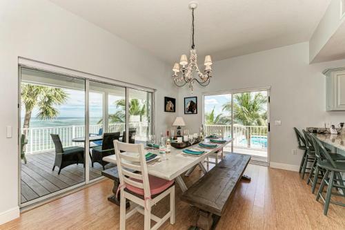 Dolphin Tales - 836 S Bay