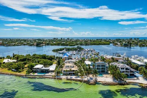 Dolphin Tales - 836 S Bay