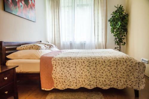 Apartm�ny U ?erven�ho Stromu