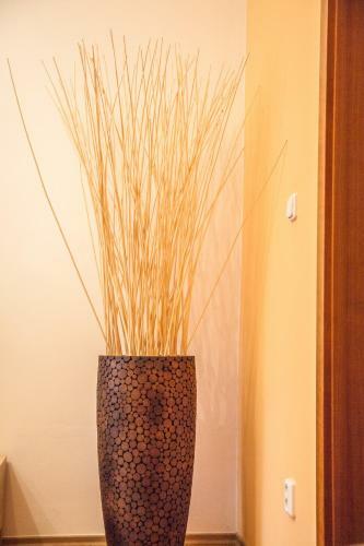 Apartm�ny U ?erven�ho Stromu
