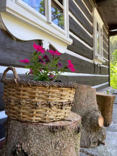 Roubenka Doln� Rokytnice