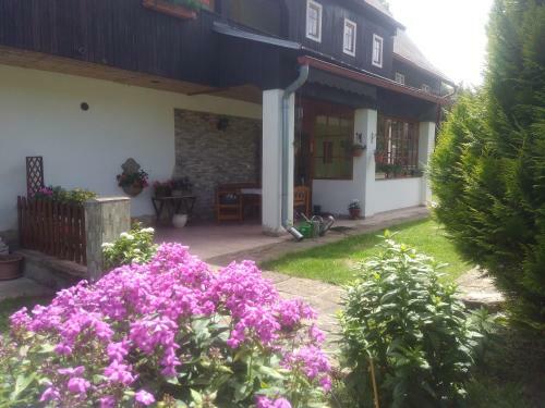Apartamento Ubytov�n� U Svir�k?