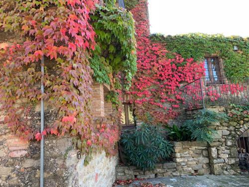 Apartamento Cal Frare, Colomers