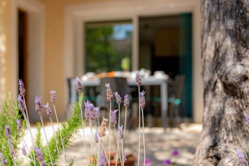 Apartamento Rez De Villa Mima Jardin