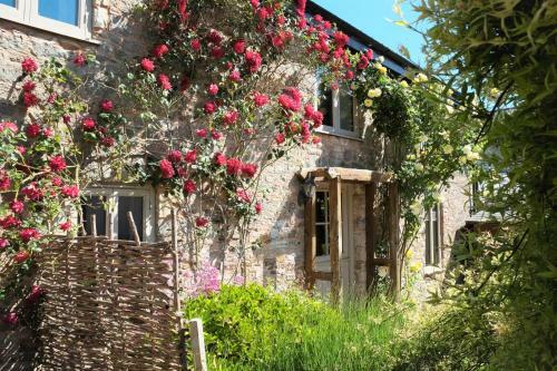 Hideaway In Devon, Perfect For Couples (and Dogs)