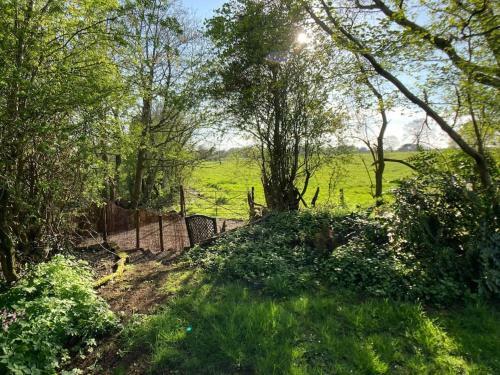 Large Country Farmhouse With Garden And Stream