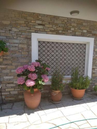 Apartamento View & Garden