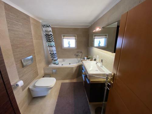 Apartamento Voula?s Dream House