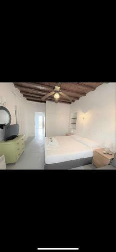 Spacious Traditional Mykonian House