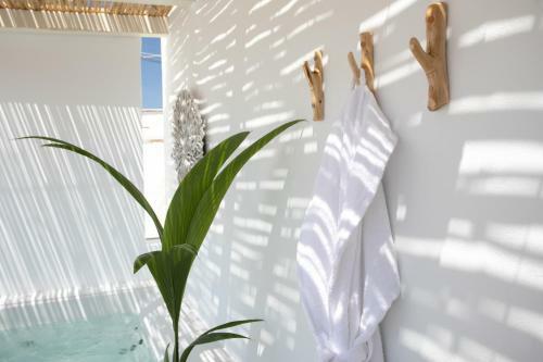 Kamvas Deluxe Apartments