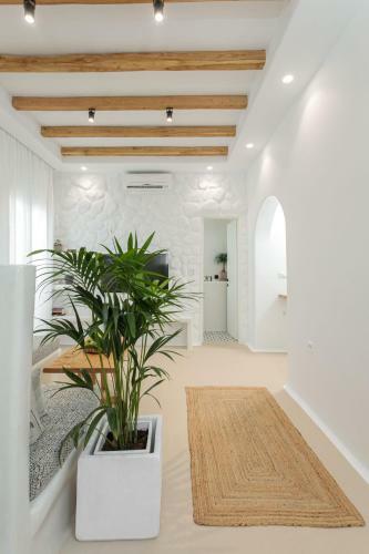 Kamvas Deluxe Apartments