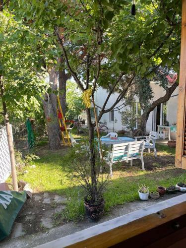 Evak Chalet