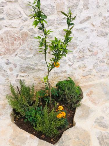 Apartamento Villa Kata