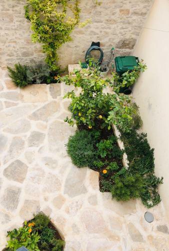 Apartamento Villa Kata