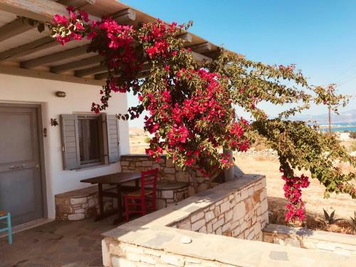 Paros - Dryos Casa Elena Vista Mare