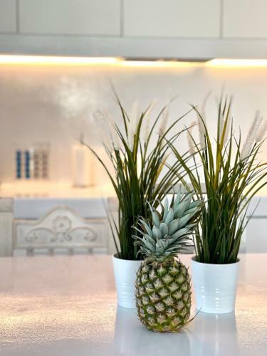 Sunsenses Villas And Resort