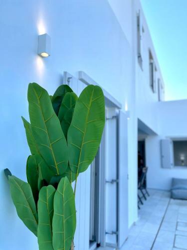 Sunsenses Villas And Resort