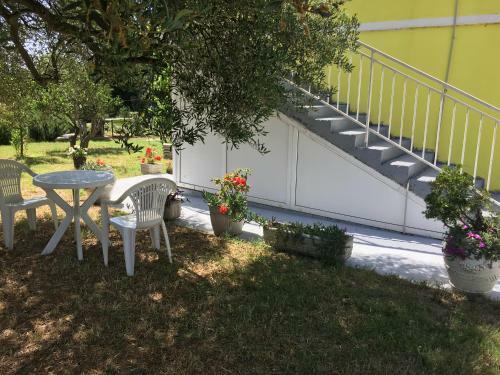 Apartments Monika Bibinje