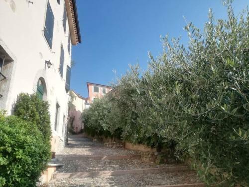 Apartamento Ca'rosa An Italian Experience In The Old Town