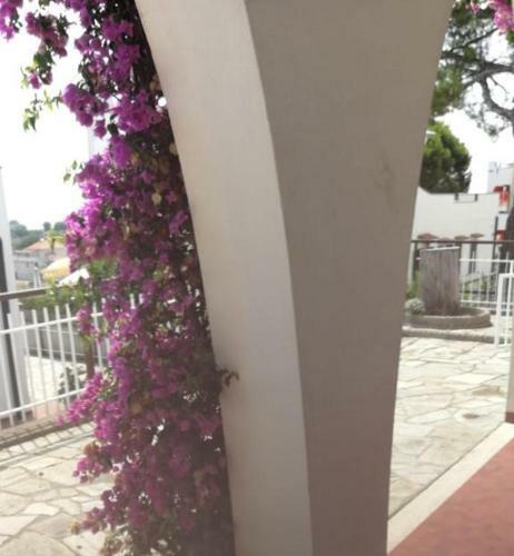 Apartamento Paoli Casavacanza Liguria Ceriale