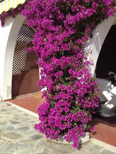 Apartamento Paoli Casavacanza Liguria Ceriale